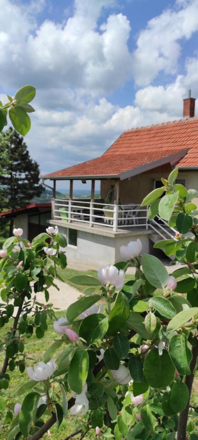 Vikend House Villa Ljig Exterior foto